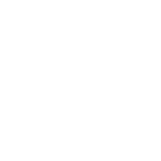 100% Job Assistance